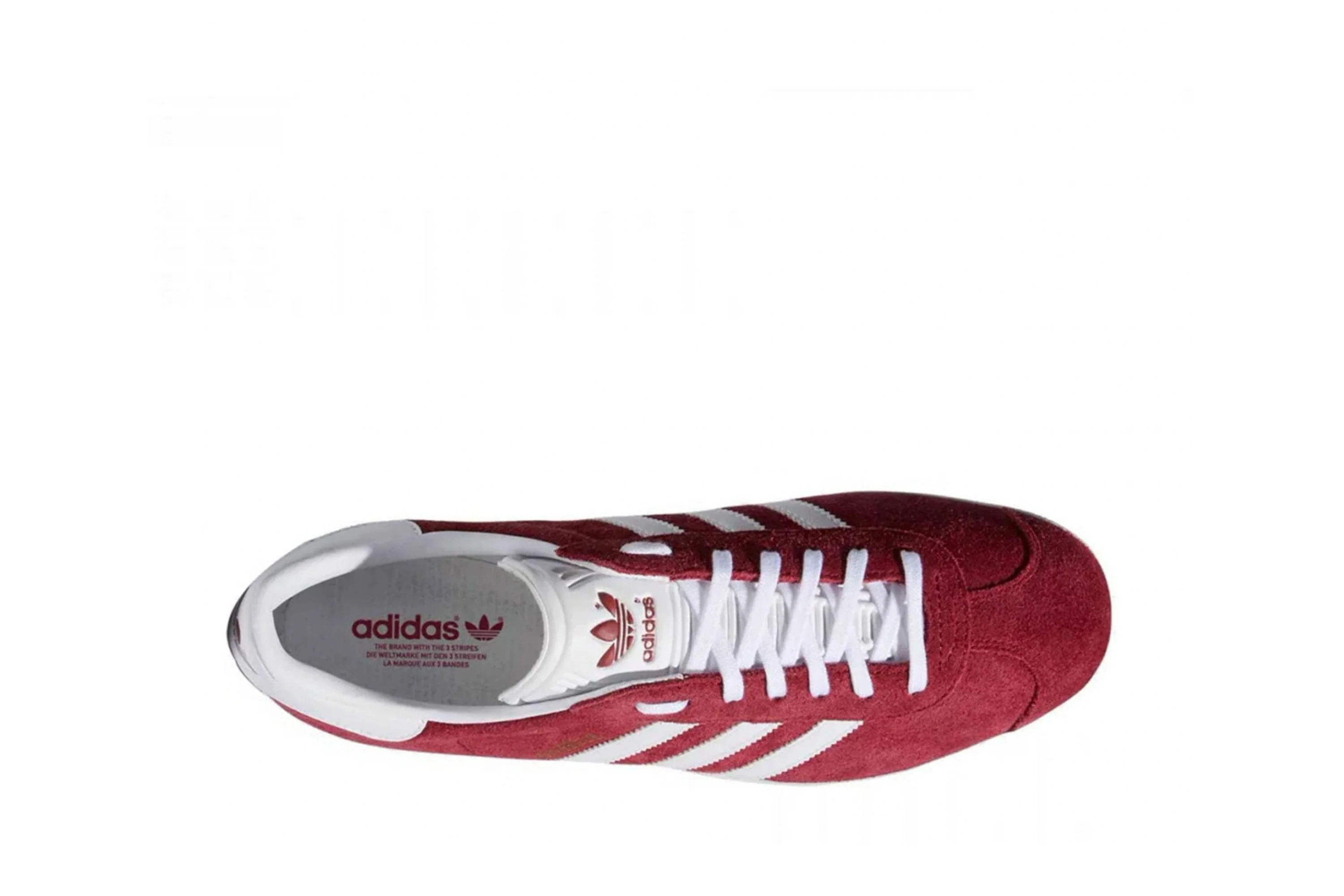 Gazelle - Image 5