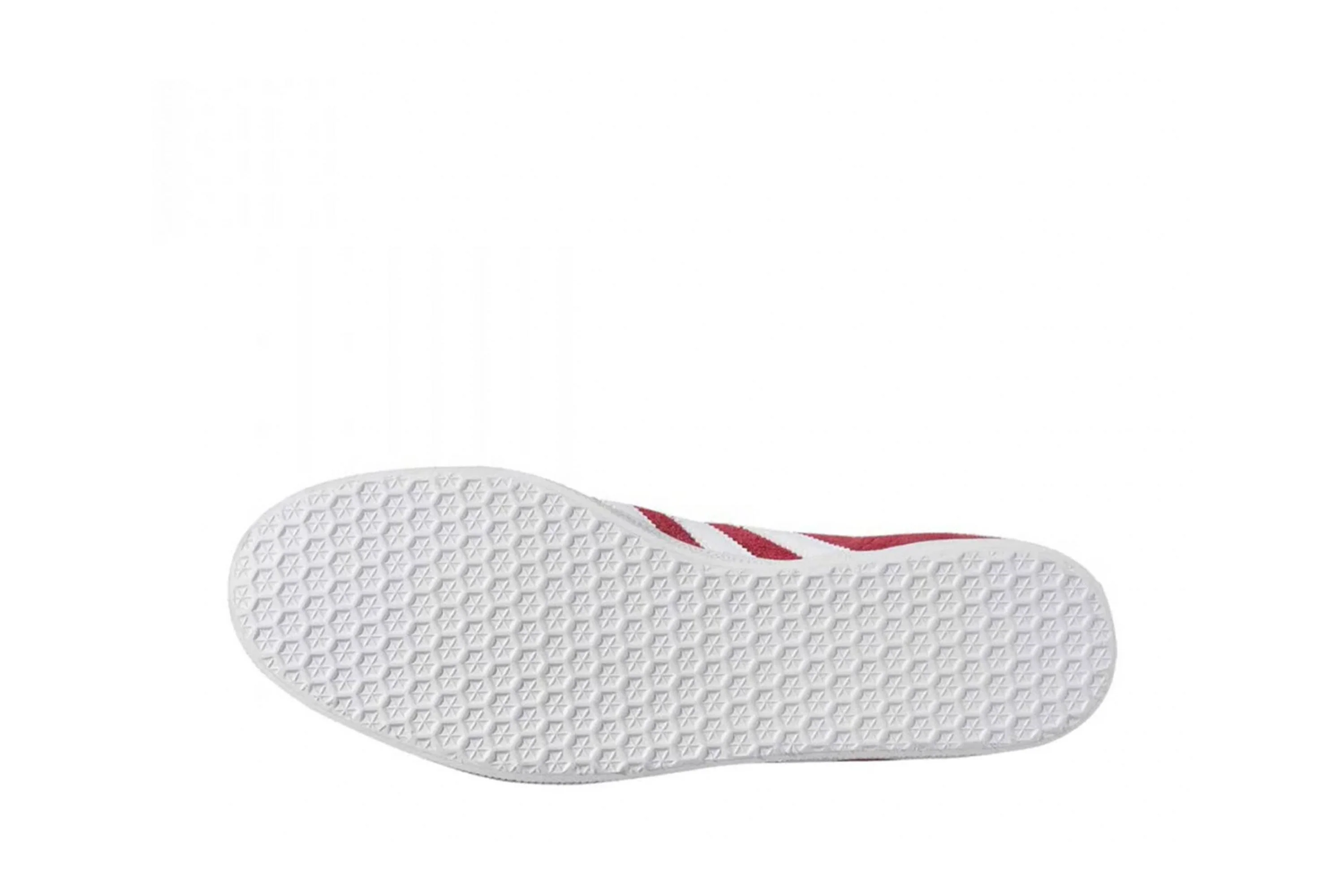 Gazelle - Image 6