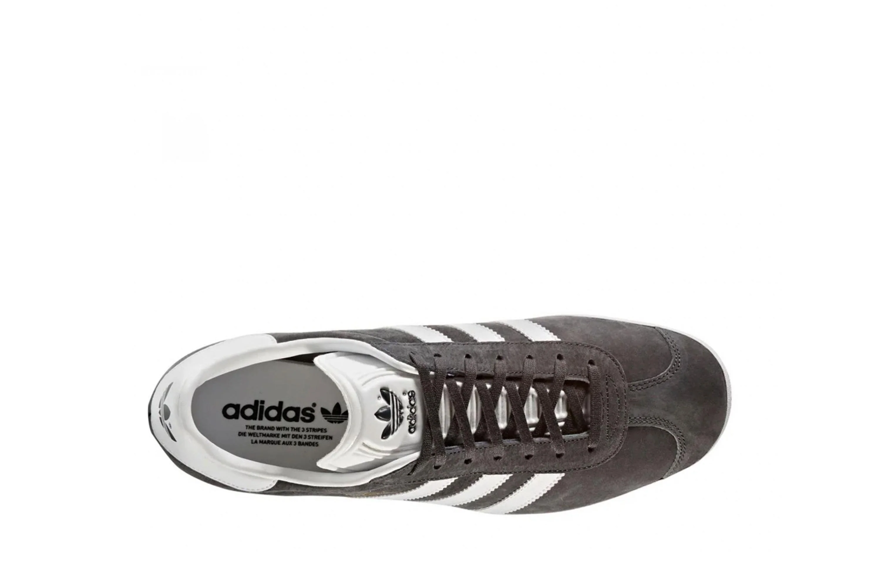 Gazelle - Image 5