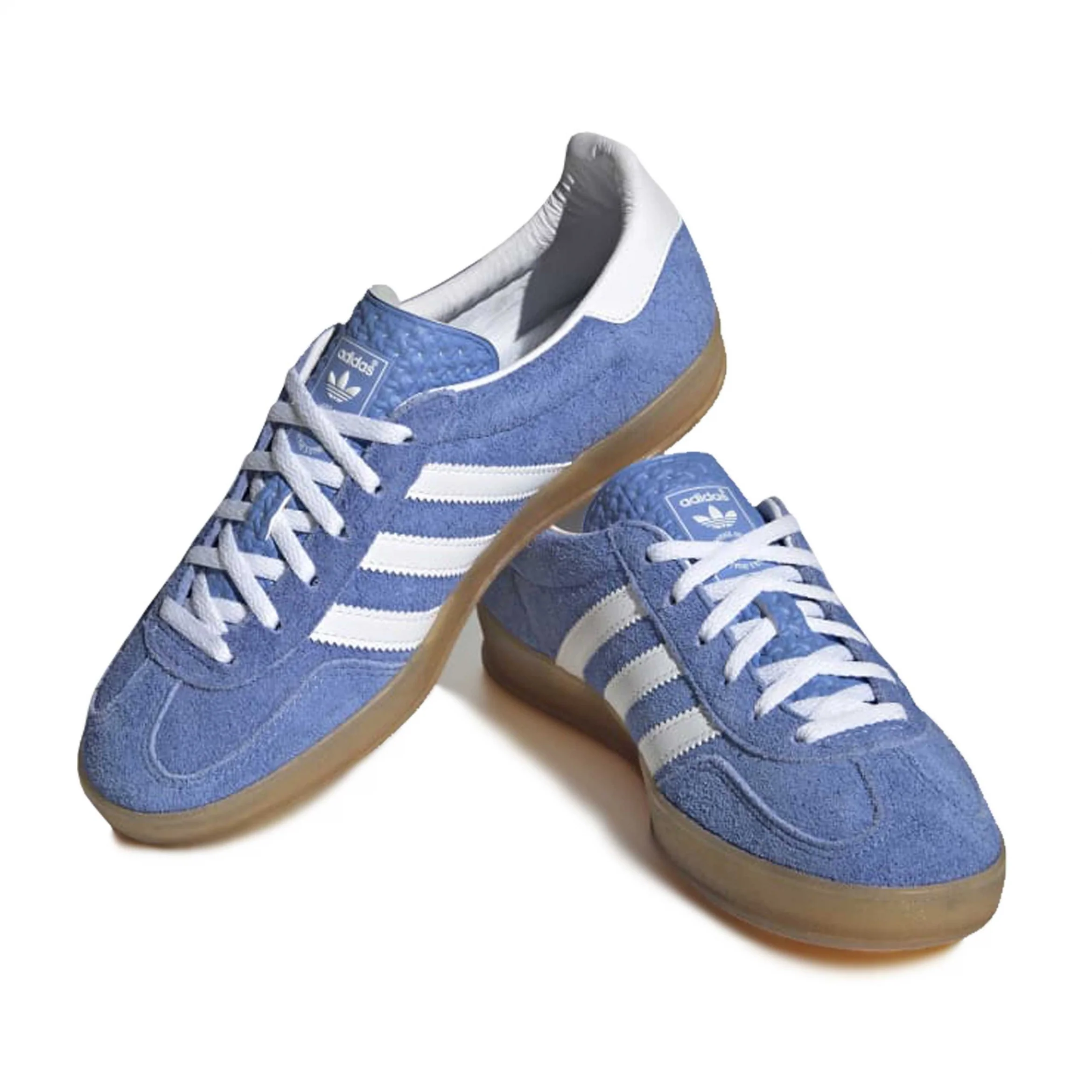 Gazelle Indoor - Image 3