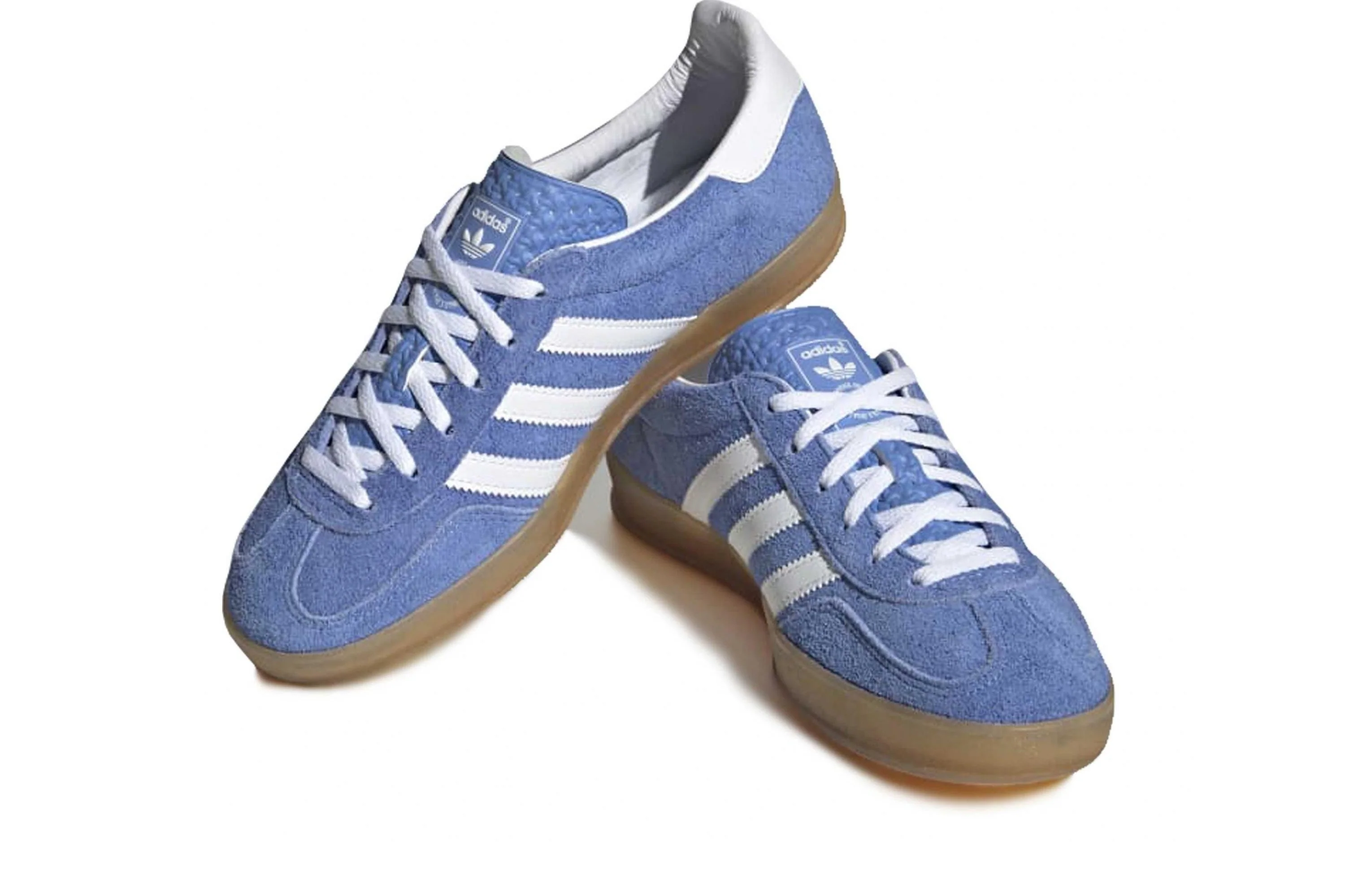 Gazelle Indoor - Image 4