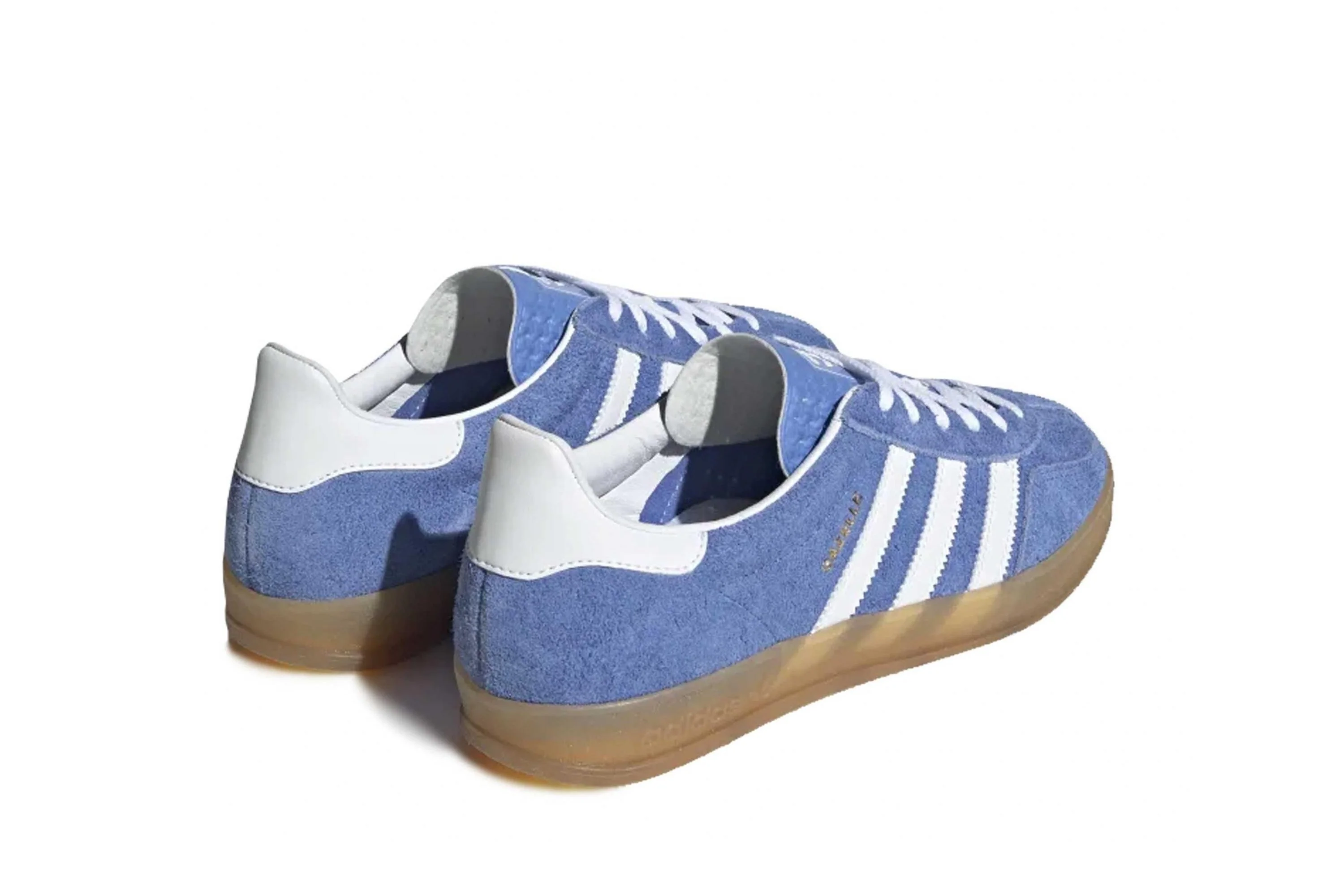 Gazelle Indoor - Image 5