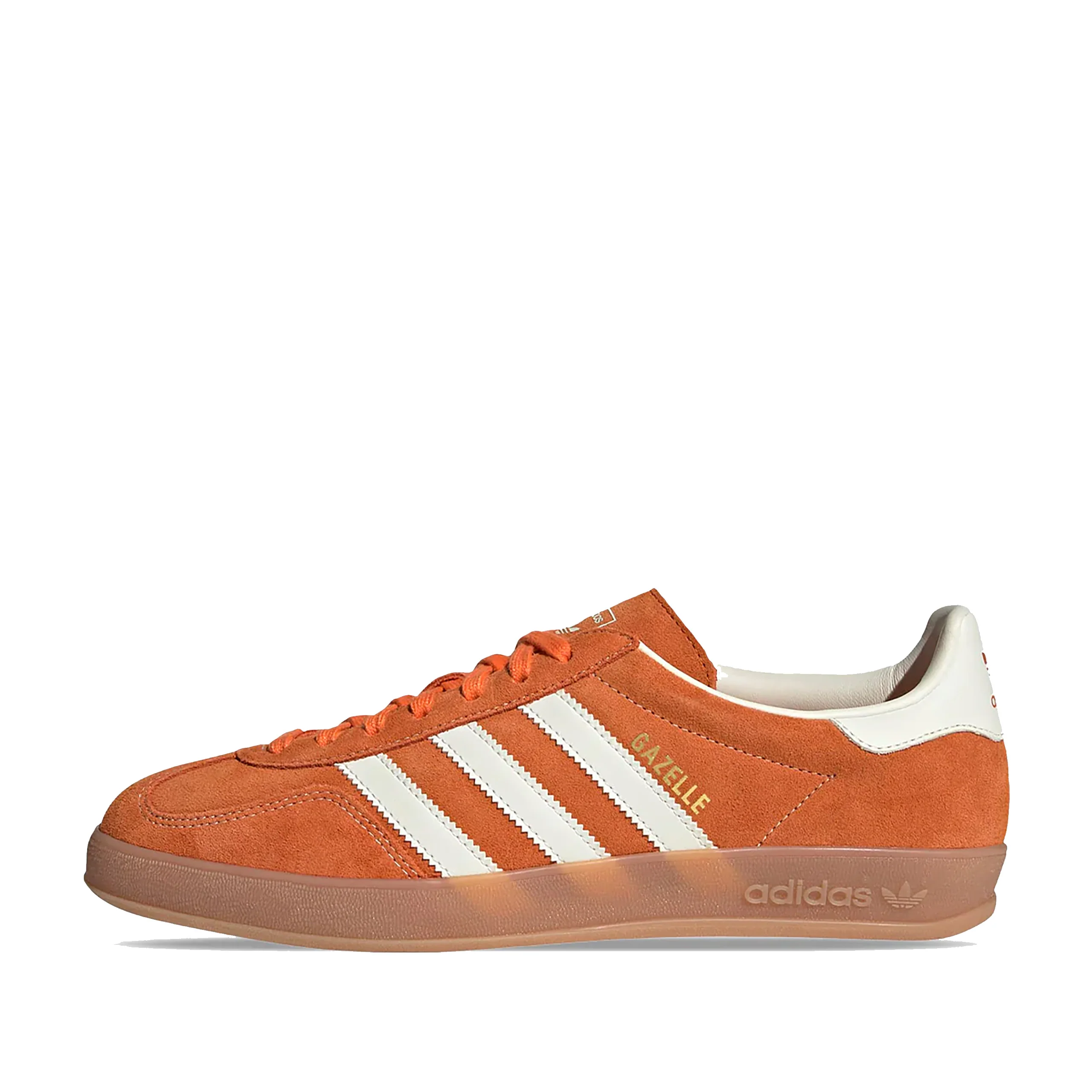Gazelle Indoor