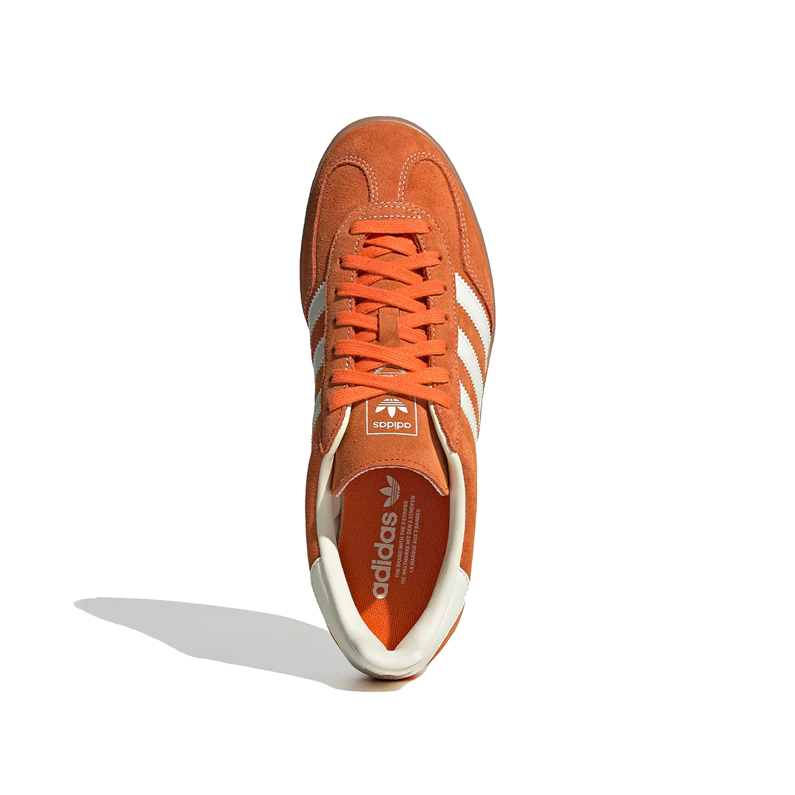 Gazelle Indoor - Image 2