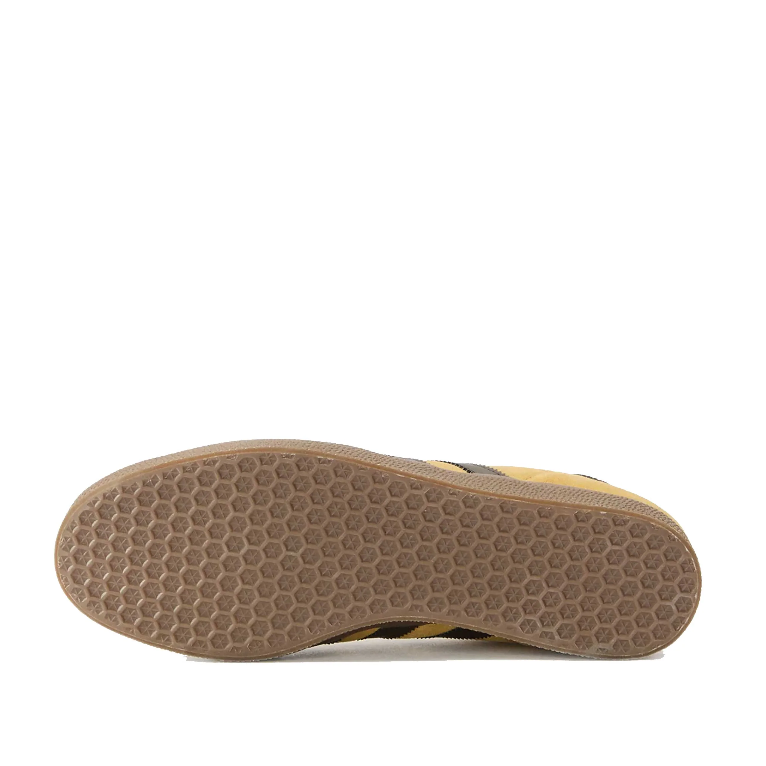 Gazelle - Image 4
