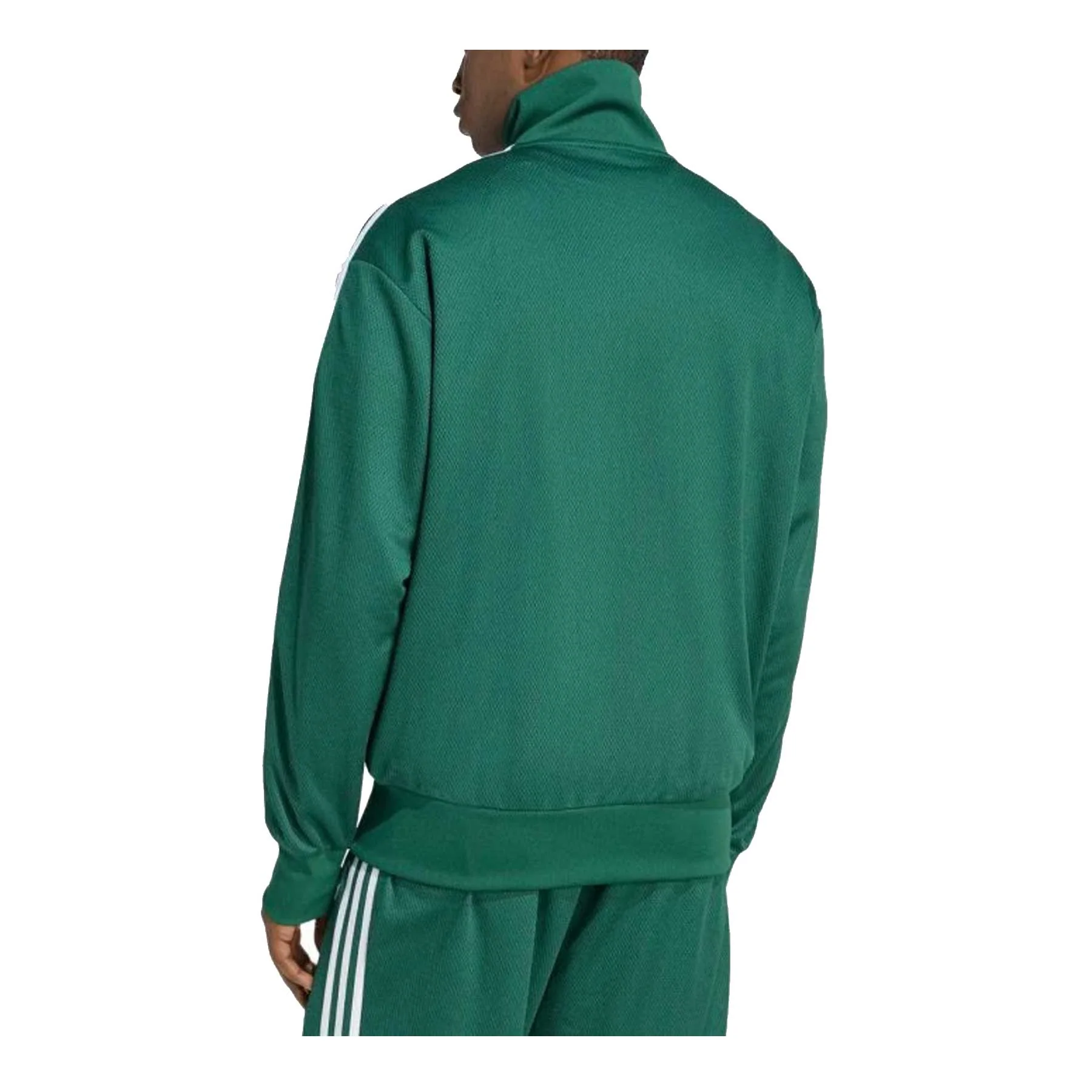 Felpa Full zip Firebird Tt - Image 3