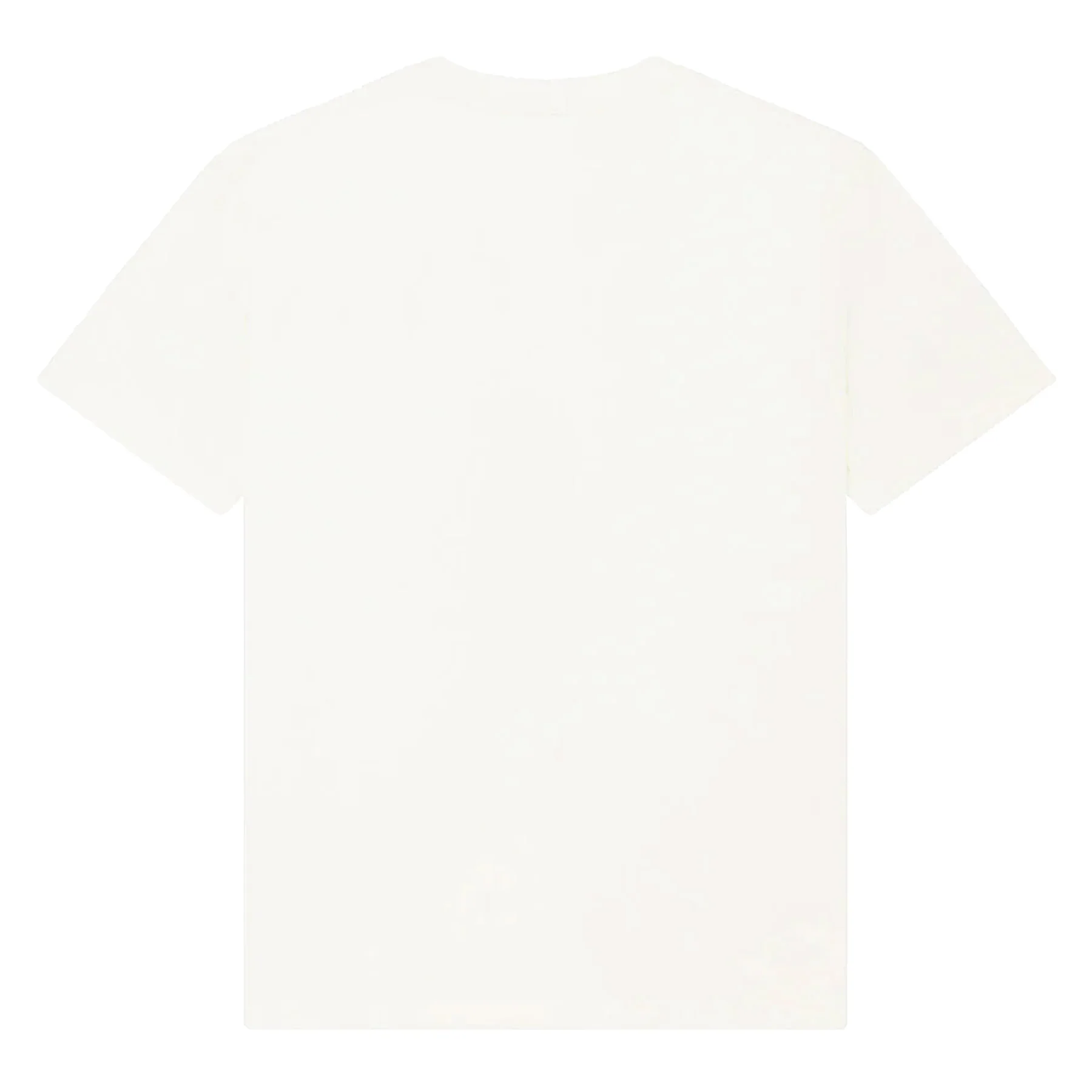 T Shirt Box Fit Erasarolgy - Image 2