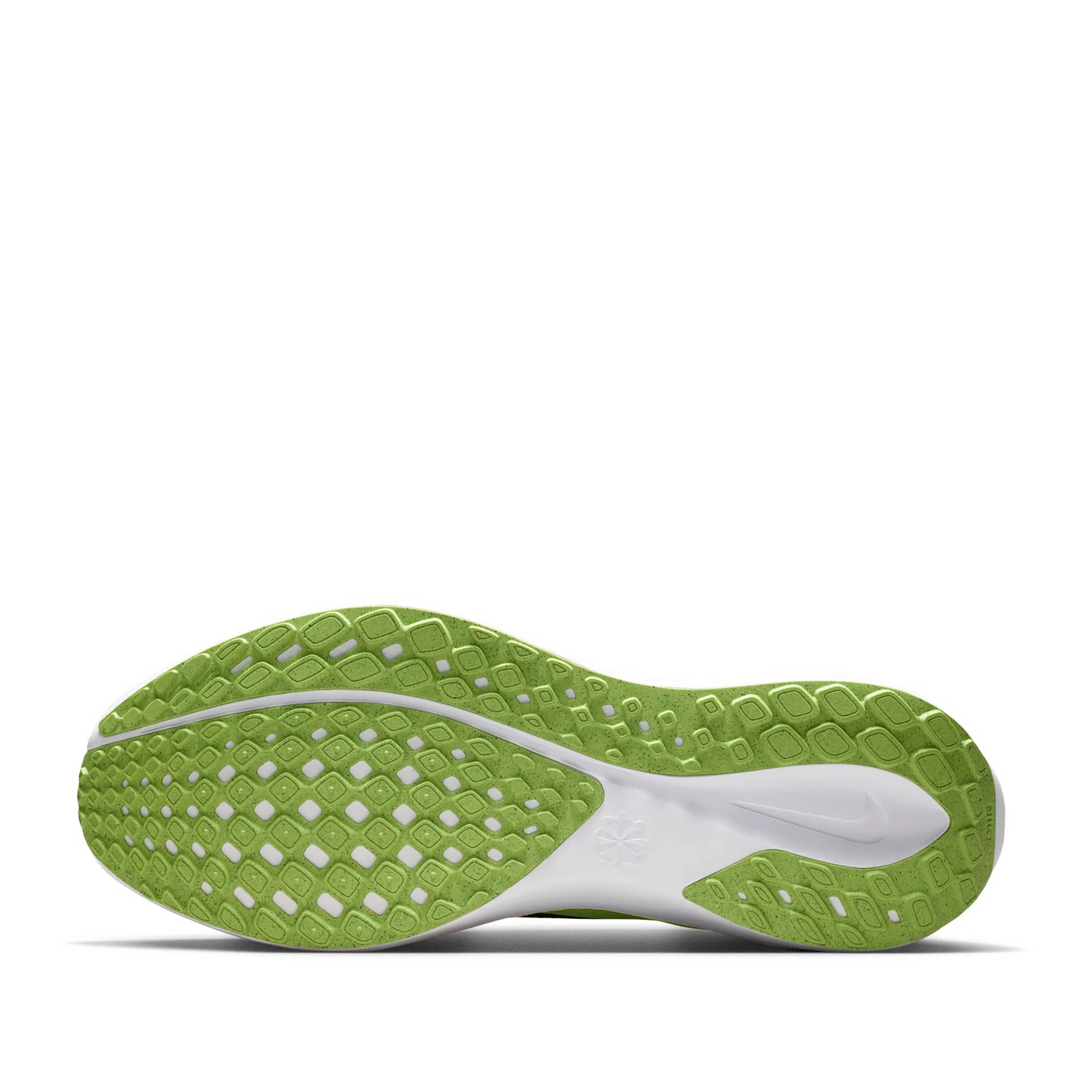 Pegasus 41 - Image 5